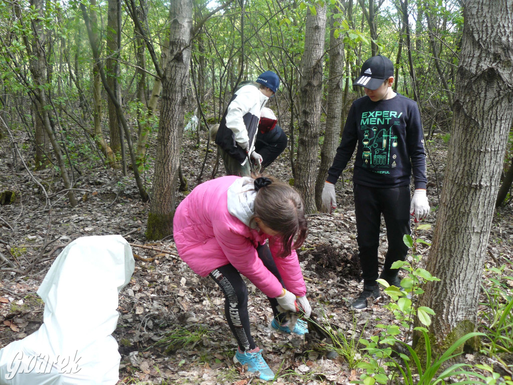 Sprzątanie okolicy i wymiana roślin