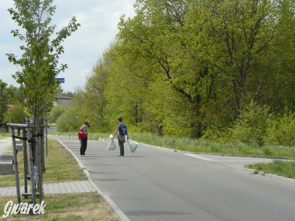 Sprzątanie okolicy i wymiana roślin