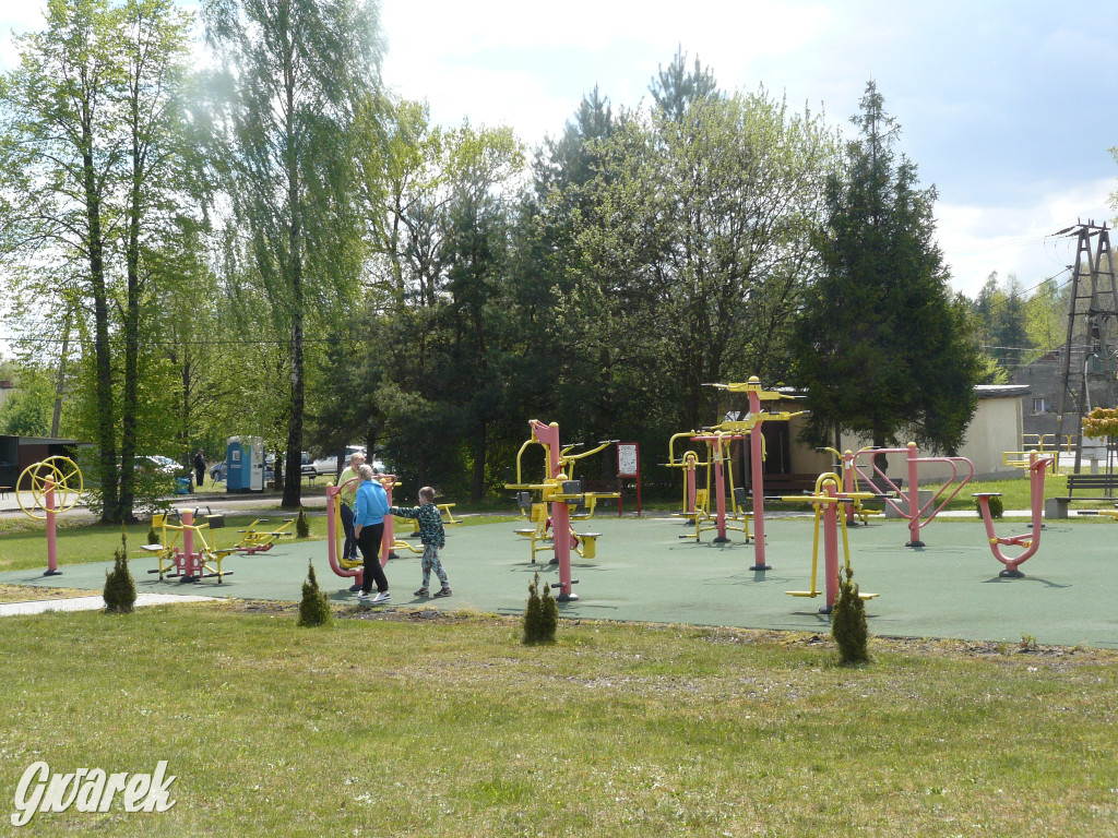 Sprzątanie okolicy i wymiana roślin