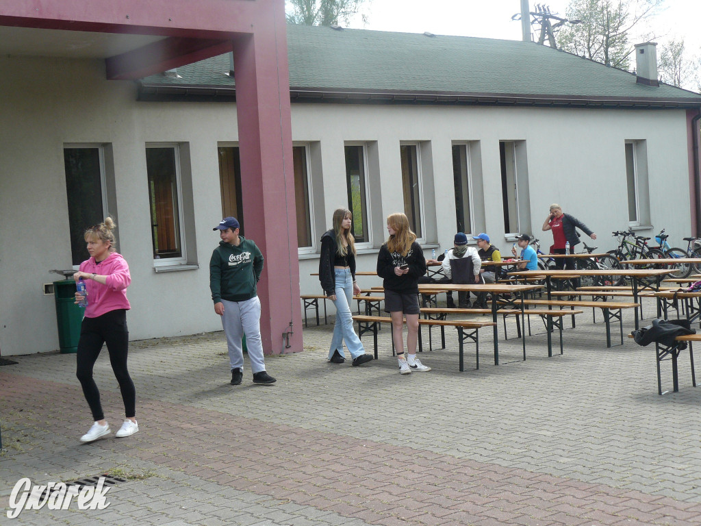 Sprzątanie okolicy i wymiana roślin