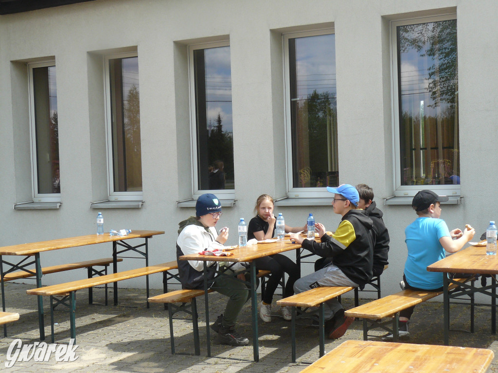Sprzątanie okolicy i wymiana roślin