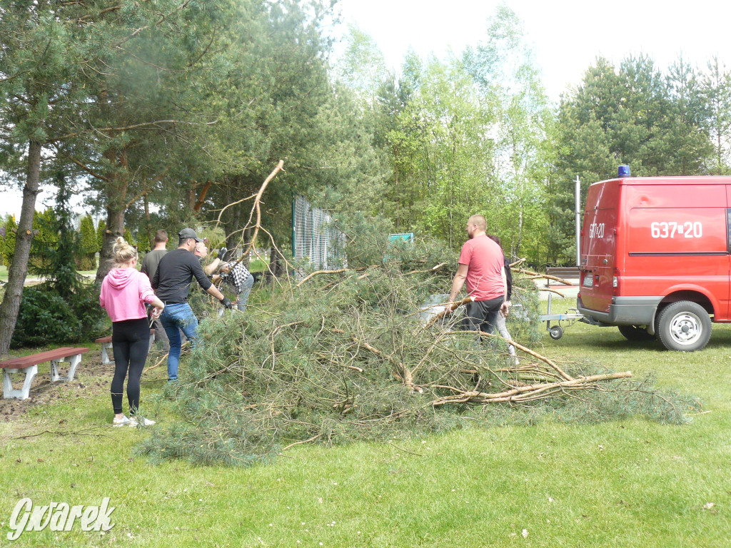 Sprzątanie okolicy i wymiana roślin