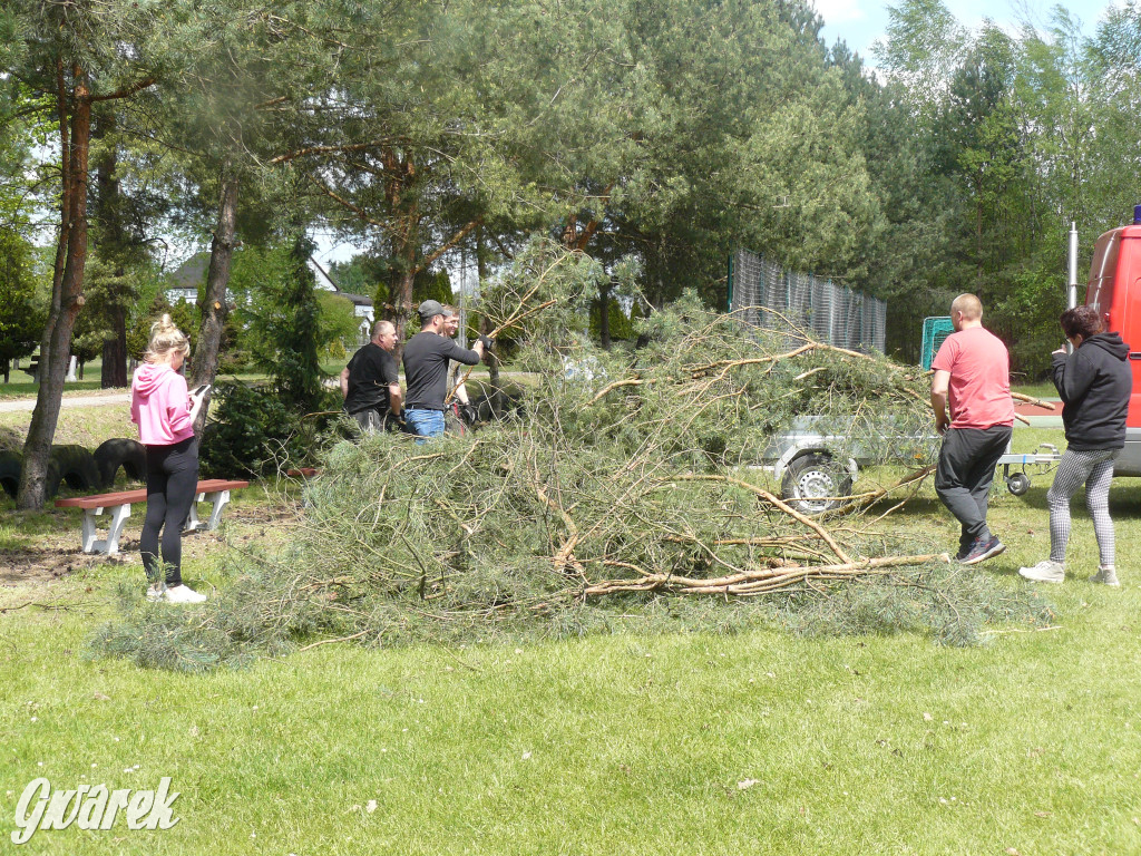 Sprzątanie okolicy i wymiana roślin