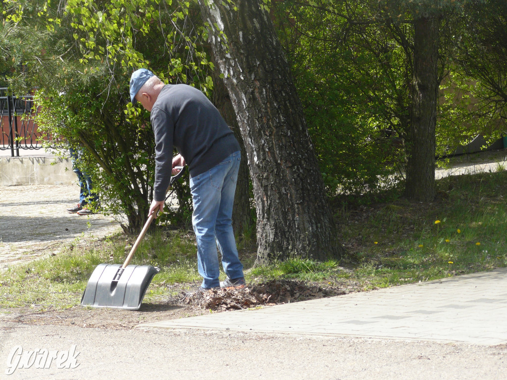 Sprzątanie okolicy i wymiana roślin