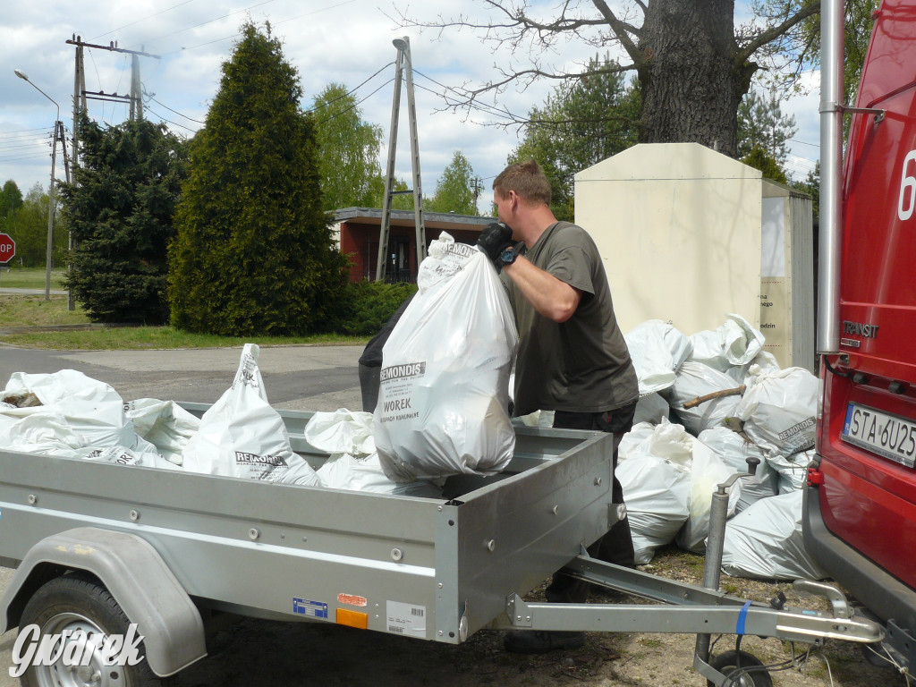 Sprzątanie okolicy i wymiana roślin