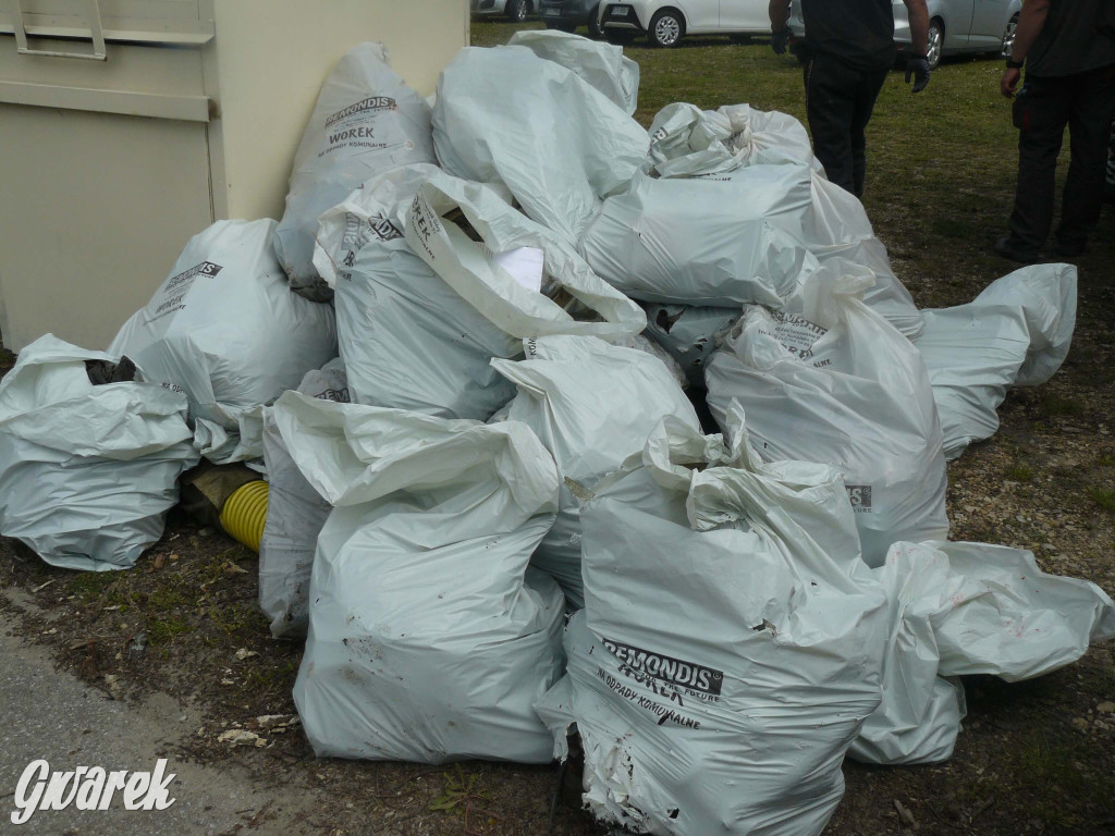Sprzątanie okolicy i wymiana roślin
