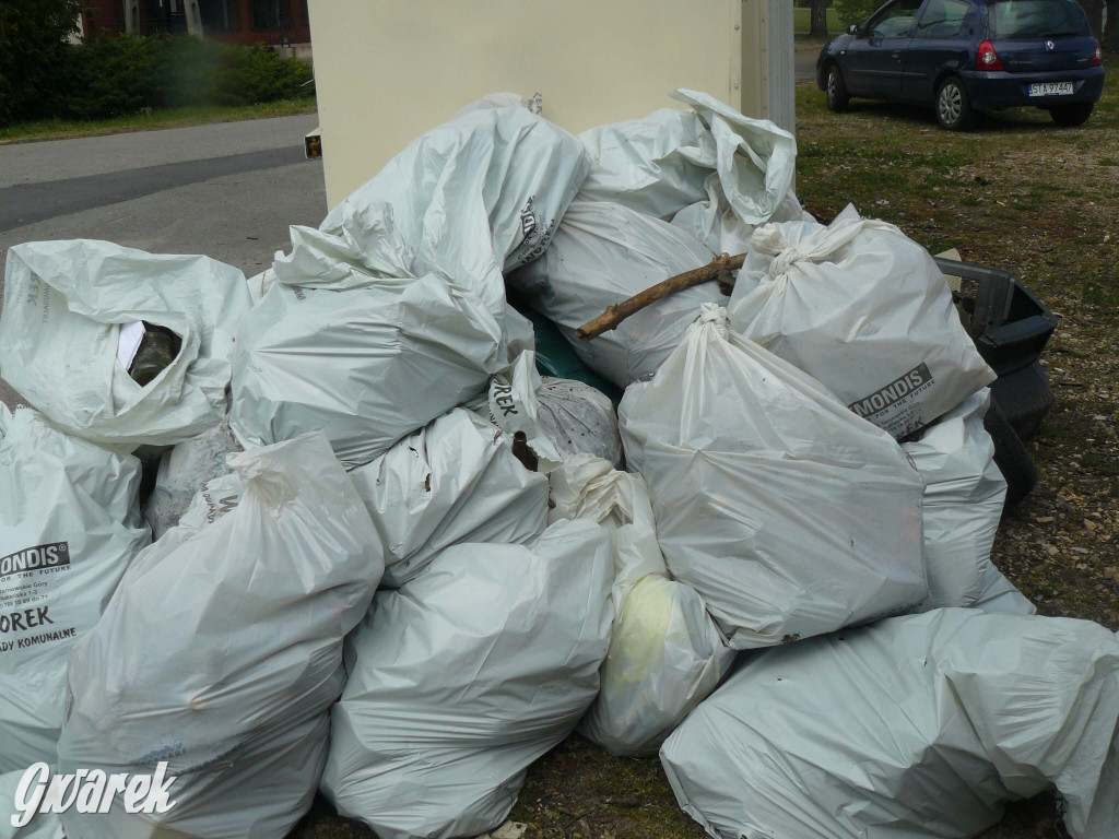 Sprzątanie okolicy i wymiana roślin