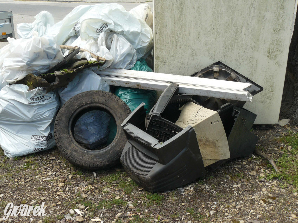 Sprzątanie okolicy i wymiana roślin