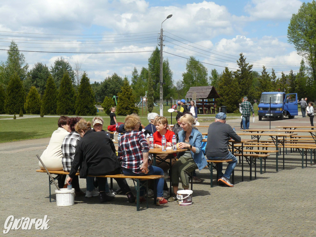 Sprzątanie okolicy i wymiana roślin