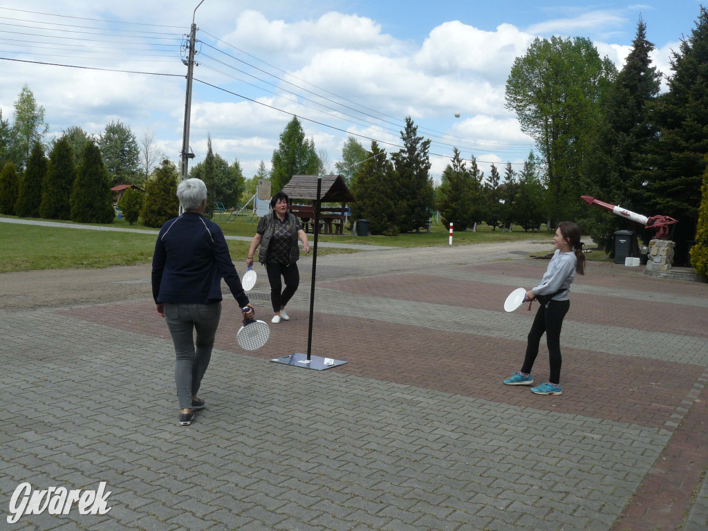 Sprzątanie okolicy i wymiana roślin