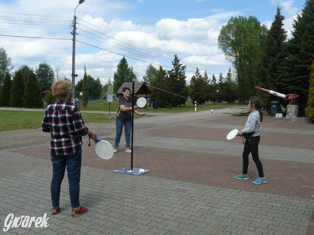 Sprzątanie okolicy i wymiana roślin