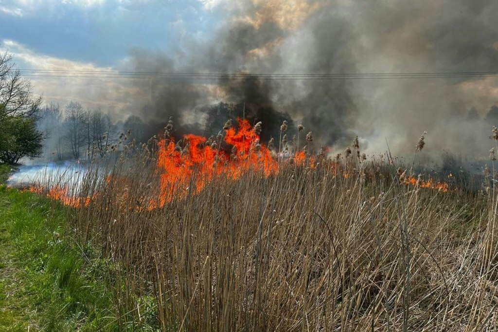 Duży pożar w Kaletach