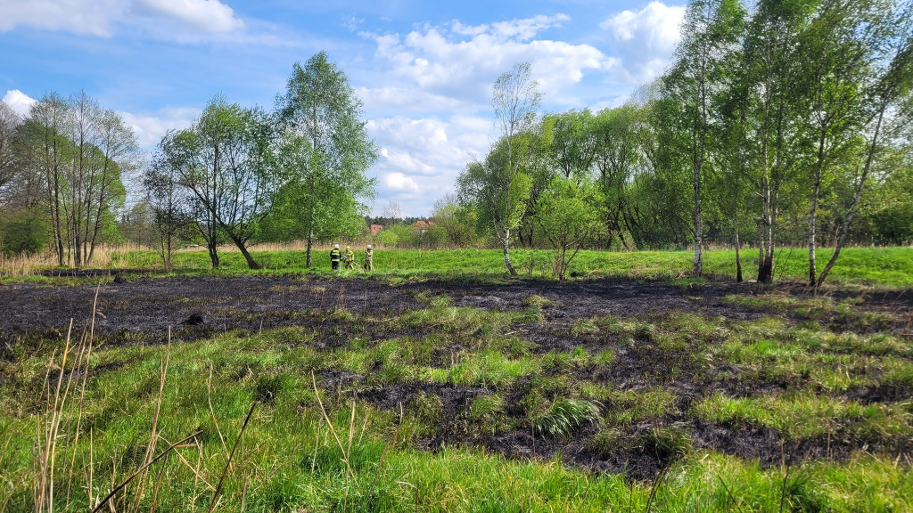 Duży pożar w Kaletach