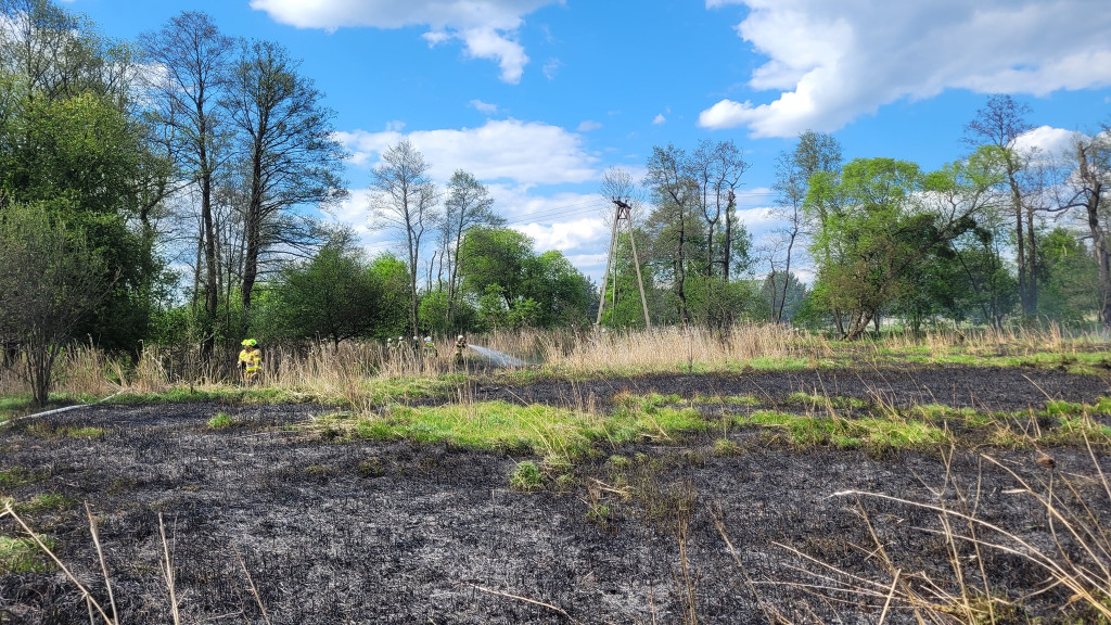 Duży pożar w Kaletach