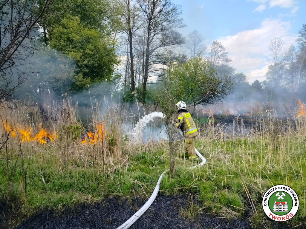 Duży pożar w Kaletach