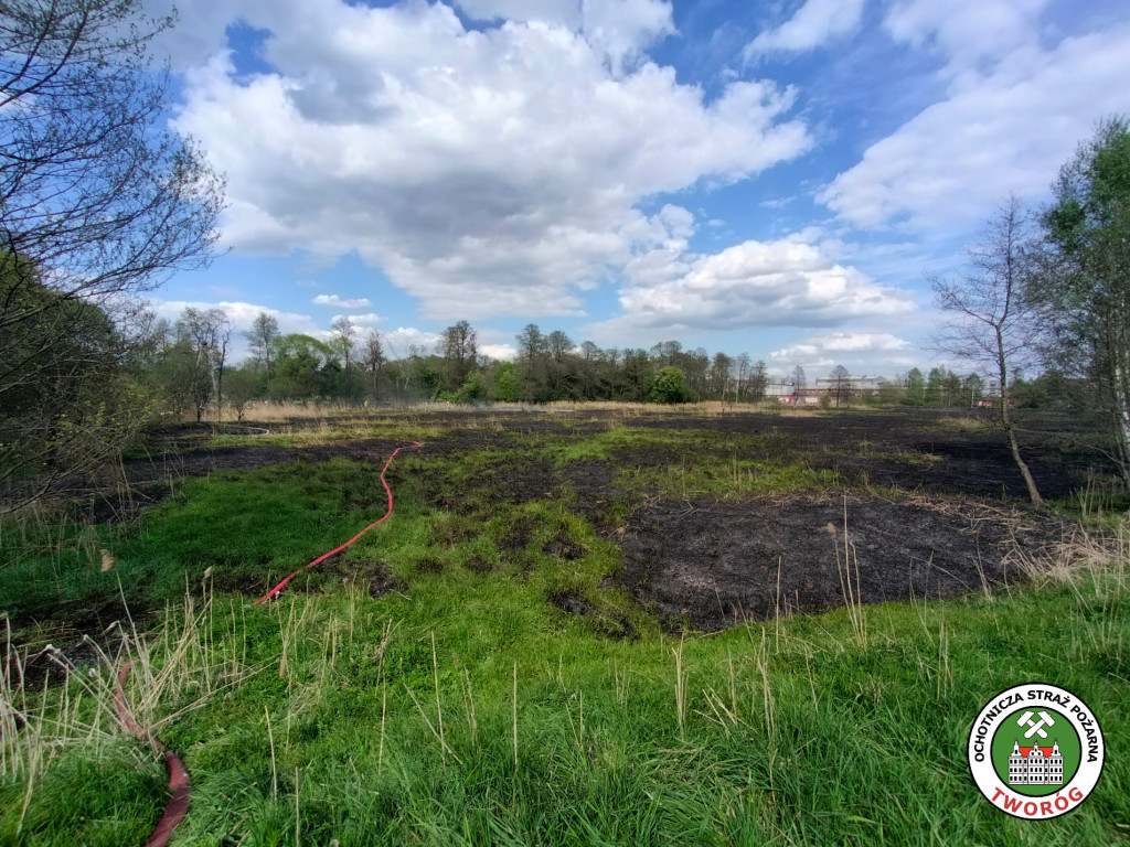 Duży pożar w Kaletach