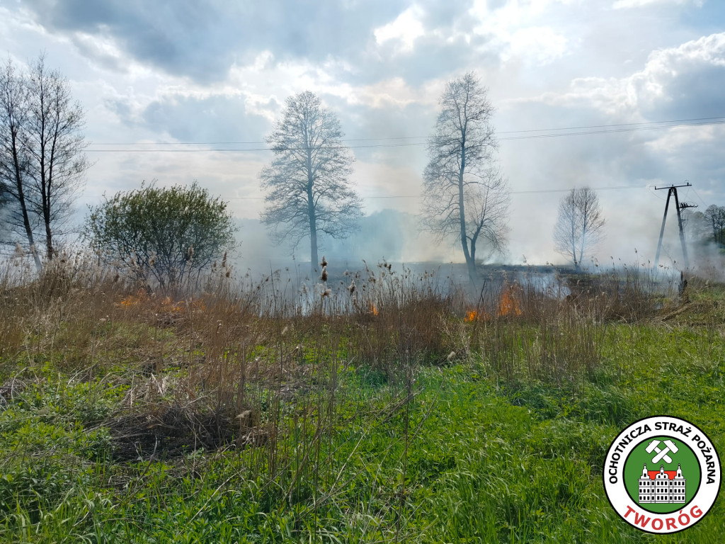 Duży pożar w Kaletach