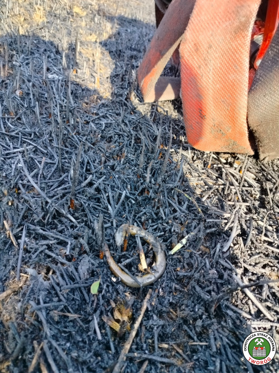 Duży pożar w Kaletach