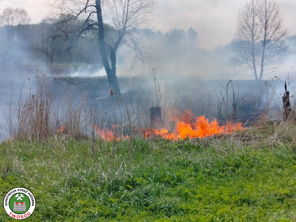 Duży pożar w Kaletach
