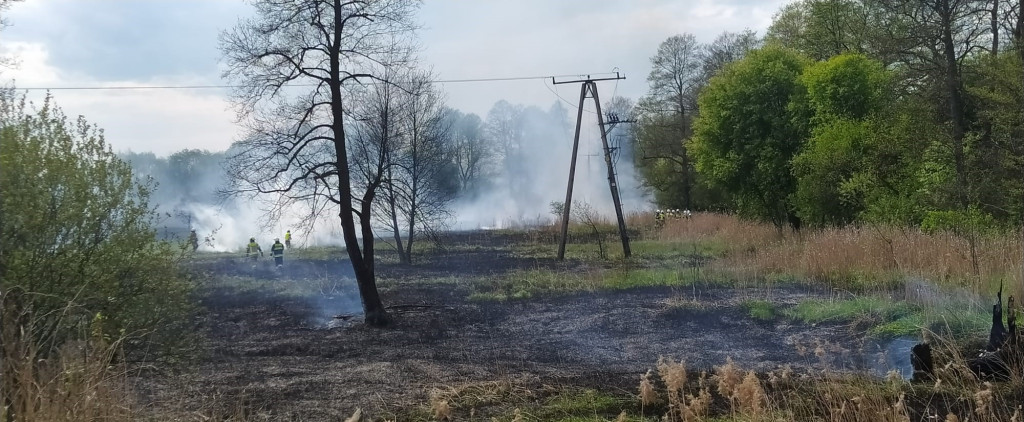 Duży pożar w Kaletach