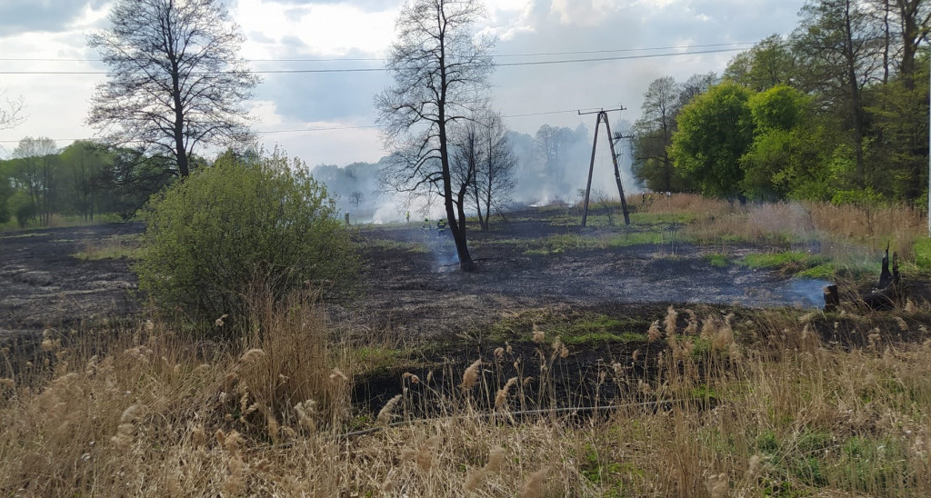 Duży pożar w Kaletach