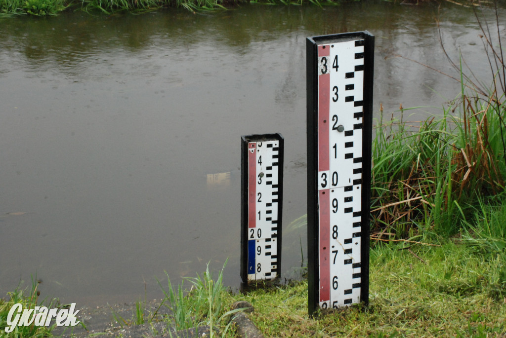 Woda w rzekach wzbiera. Szykuje się powódź?