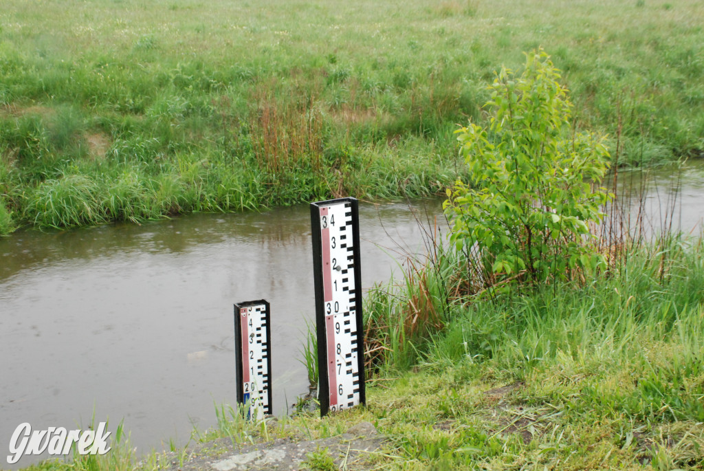 Woda w rzekach wzbiera. Szykuje się powódź?
