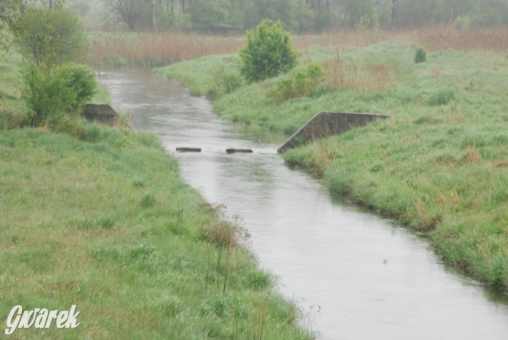 Woda w rzekach wzbiera. Szykuje się powódź?
