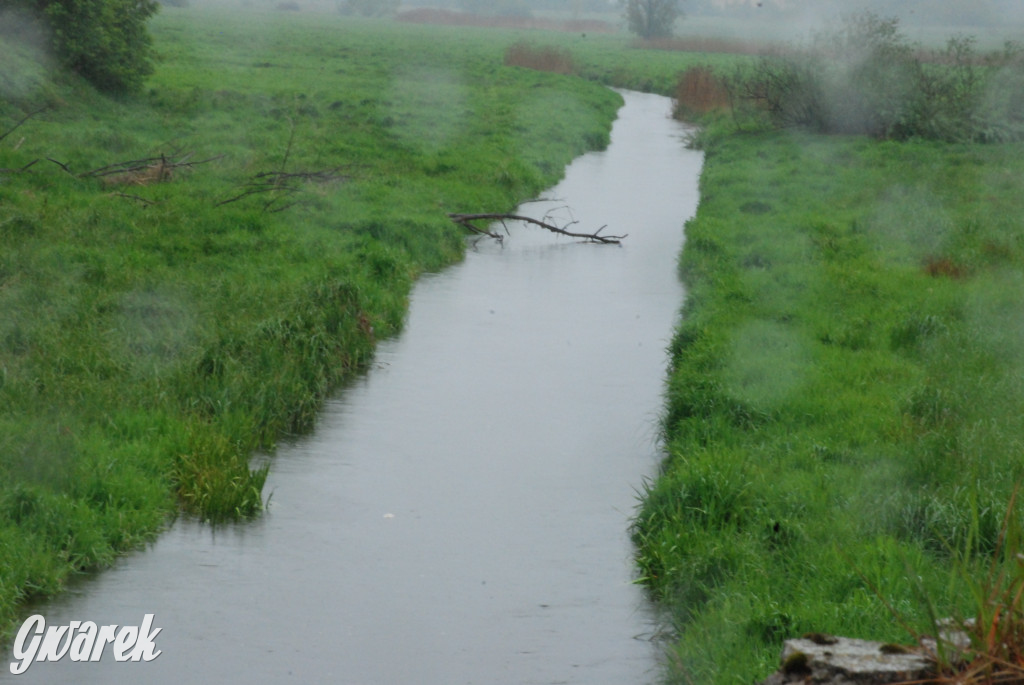 Woda w rzekach wzbiera. Szykuje się powódź?