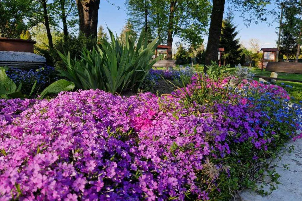 Ogrody działkowe w nowej odsłonie