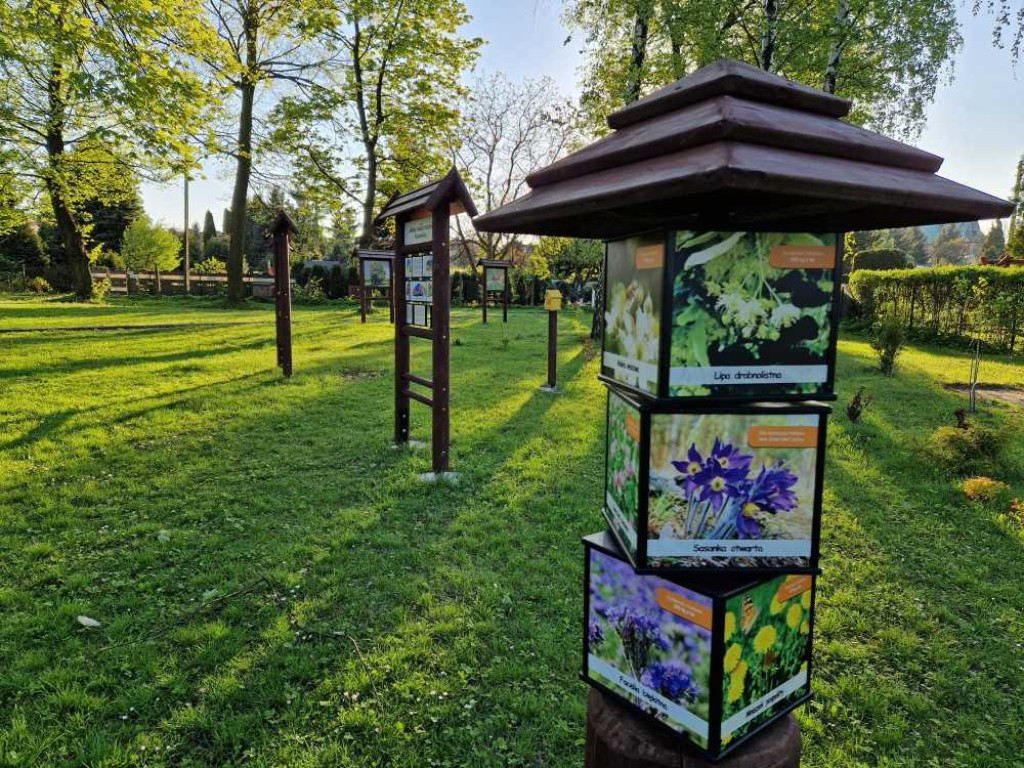 Ogrody działkowe w nowej odsłonie