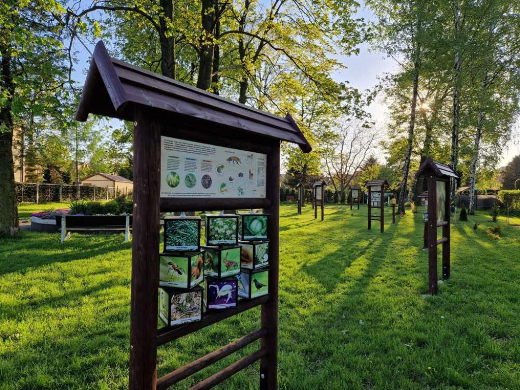 Ogrody działkowe w nowej odsłonie