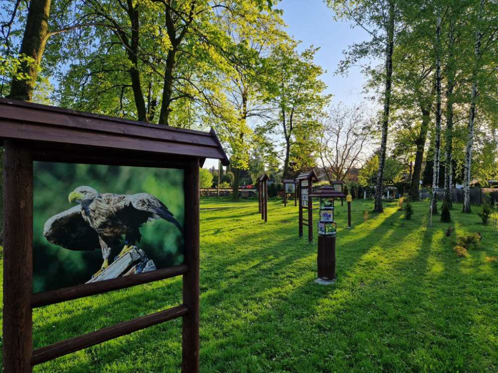 Ogrody działkowe w nowej odsłonie