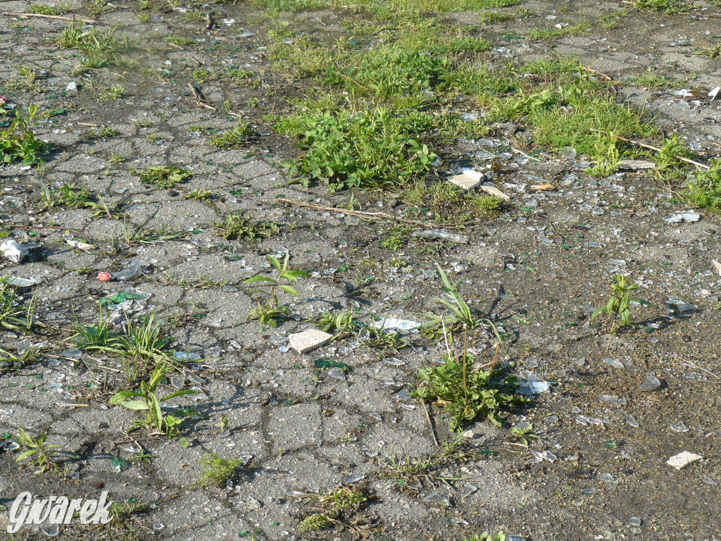 Czy w tym miejscu powstaną bloki?