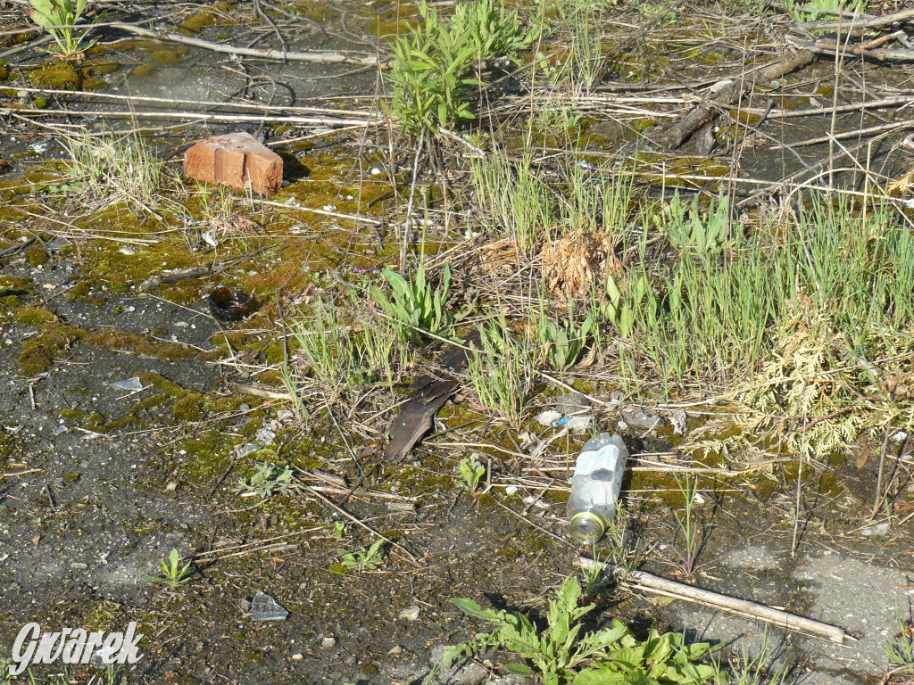 Czy w tym miejscu powstaną bloki?