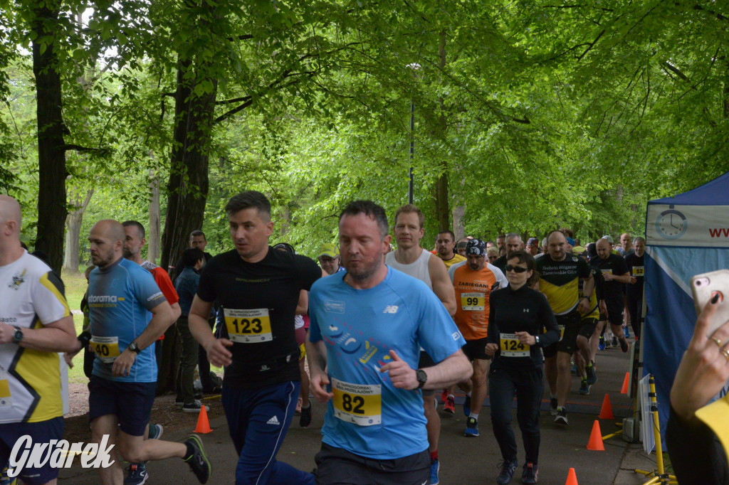 Tarnowskie Góry. XI Tarnogórski Bieg Przełajowy (cz. 1)