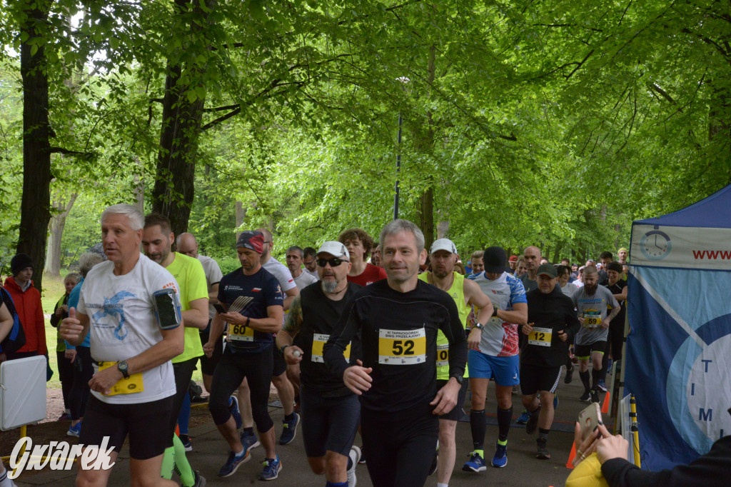 Tarnowskie Góry. XI Tarnogórski Bieg Przełajowy (cz. 1)
