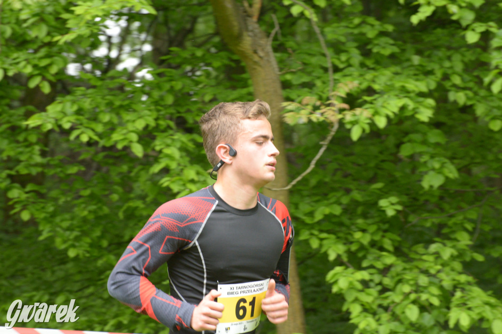 Tarnowskie Góry. XI Tarnogórski Bieg Przełajowy (cz. 1)