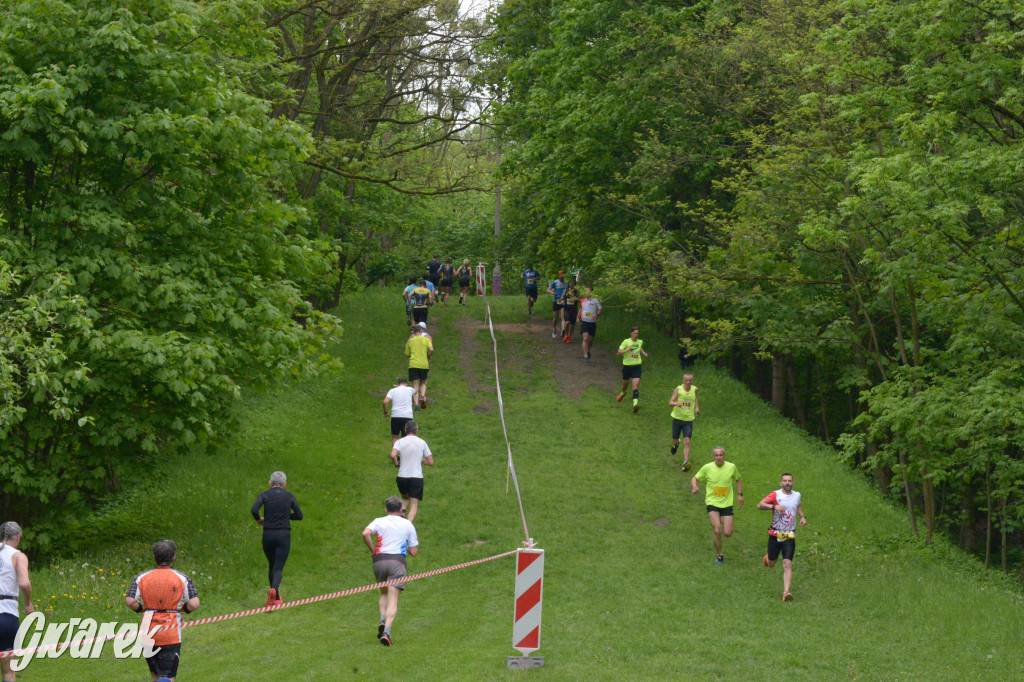 Tarnowskie Góry. XI Tarnogórski Bieg Przełajowy (cz. 1)