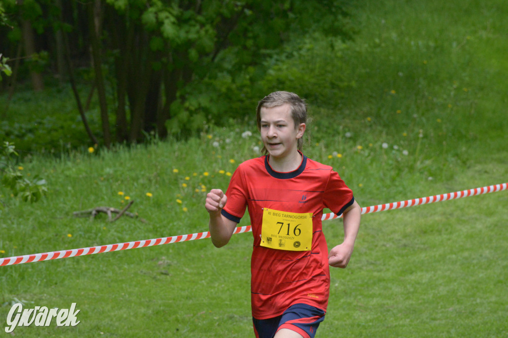 Tarnowskie Góry. XI Tarnogórski Bieg Przełajowy (cz. 1)