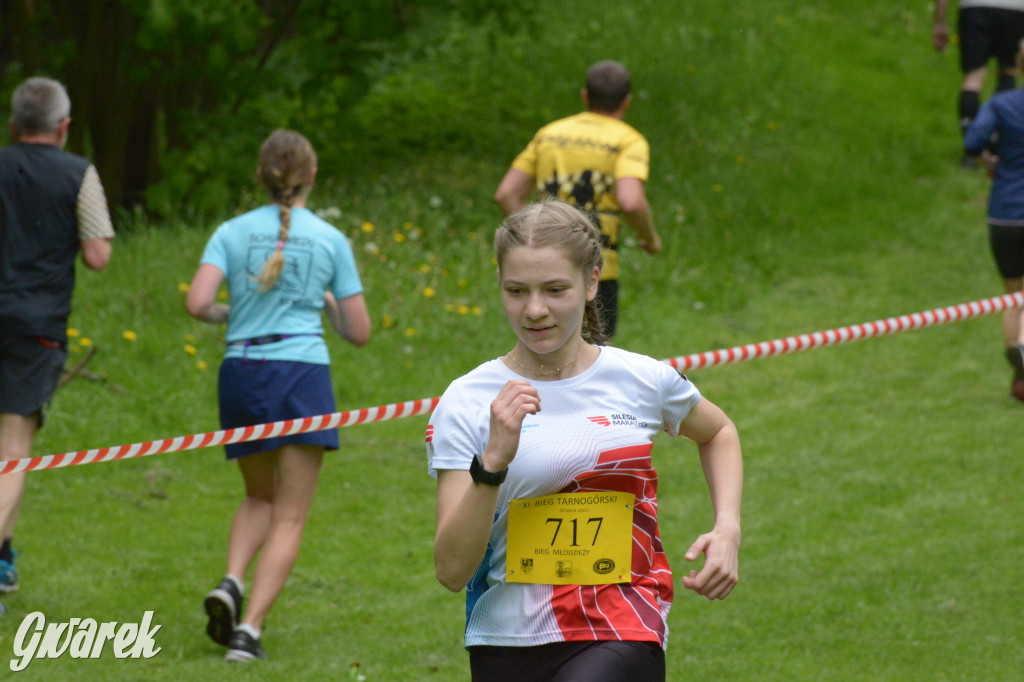 Tarnowskie Góry. XI Tarnogórski Bieg Przełajowy (cz. 1)