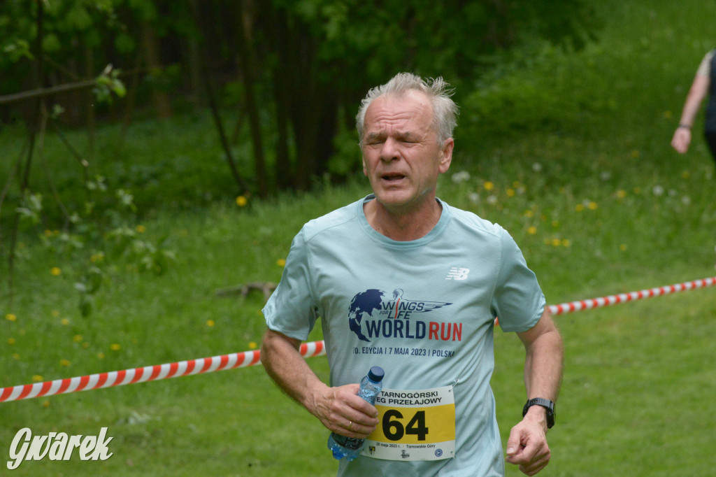 Tarnowskie Góry. XI Tarnogórski Bieg Przełajowy (cz. 1)