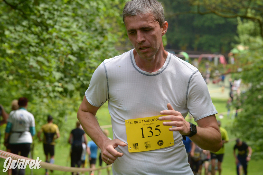 Tarnowskie Góry. XI Tarnogórski Bieg Przełajowy (cz. 1)