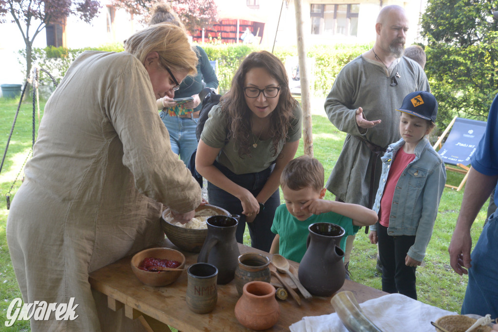 Tarnowskie Góry. Wioska wikingów w bibliotece