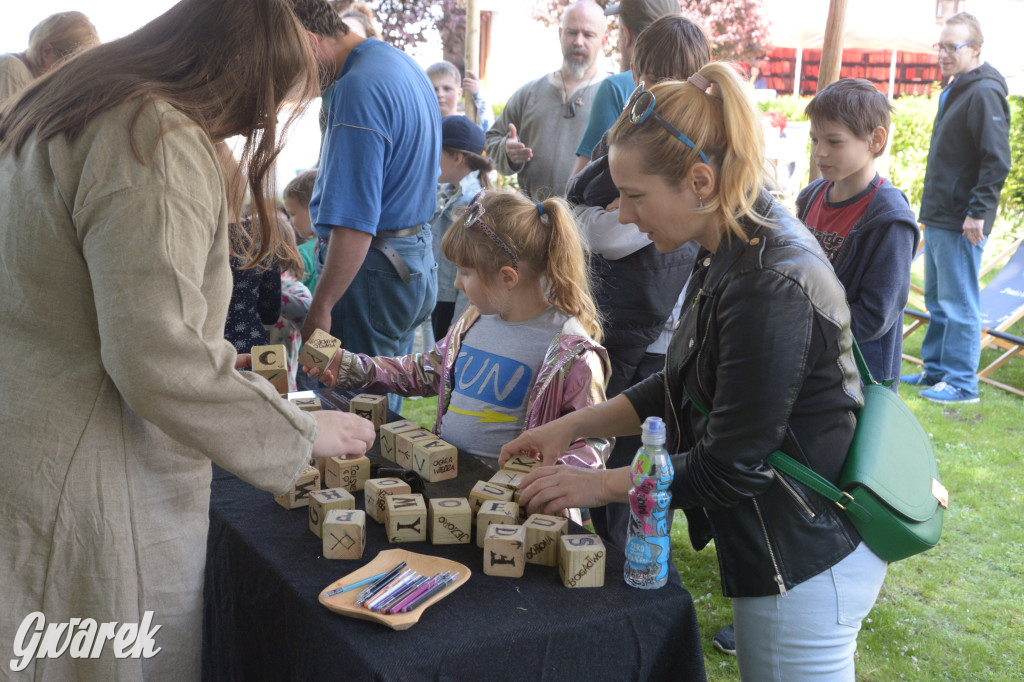 Tarnowskie Góry. Wioska wikingów w bibliotece