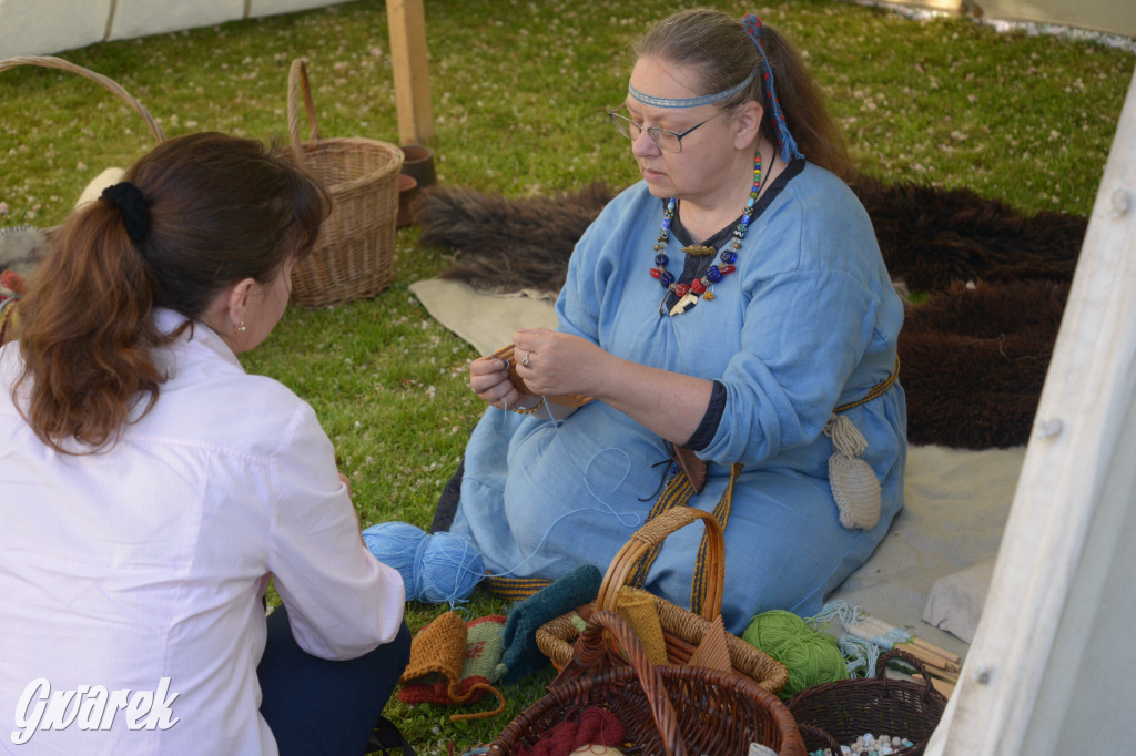Tarnowskie Góry. Wioska wikingów w bibliotece
