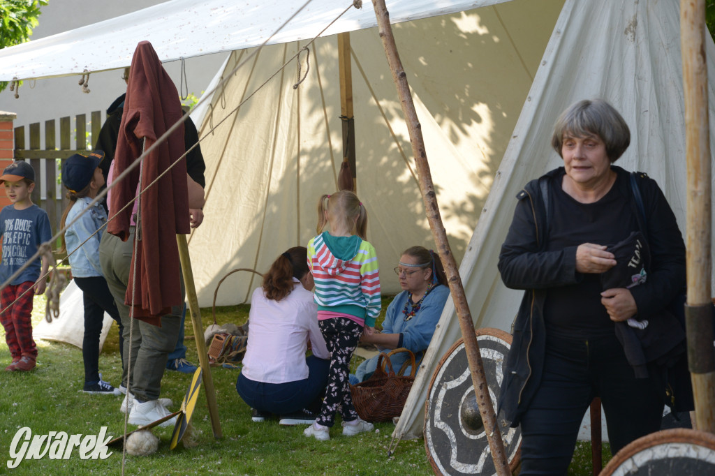 Tarnowskie Góry. Wioska wikingów w bibliotece