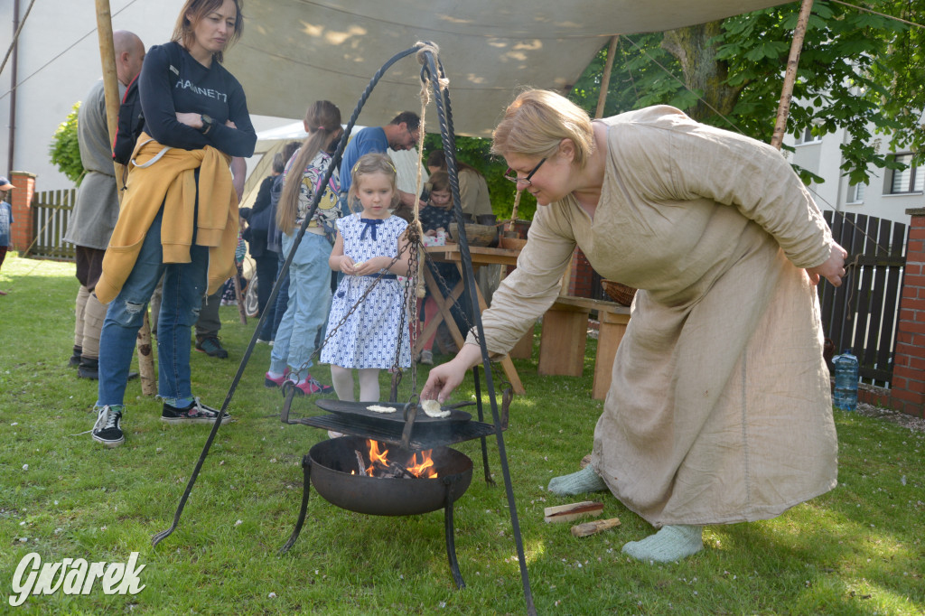 Tarnowskie Góry. Wioska wikingów w bibliotece