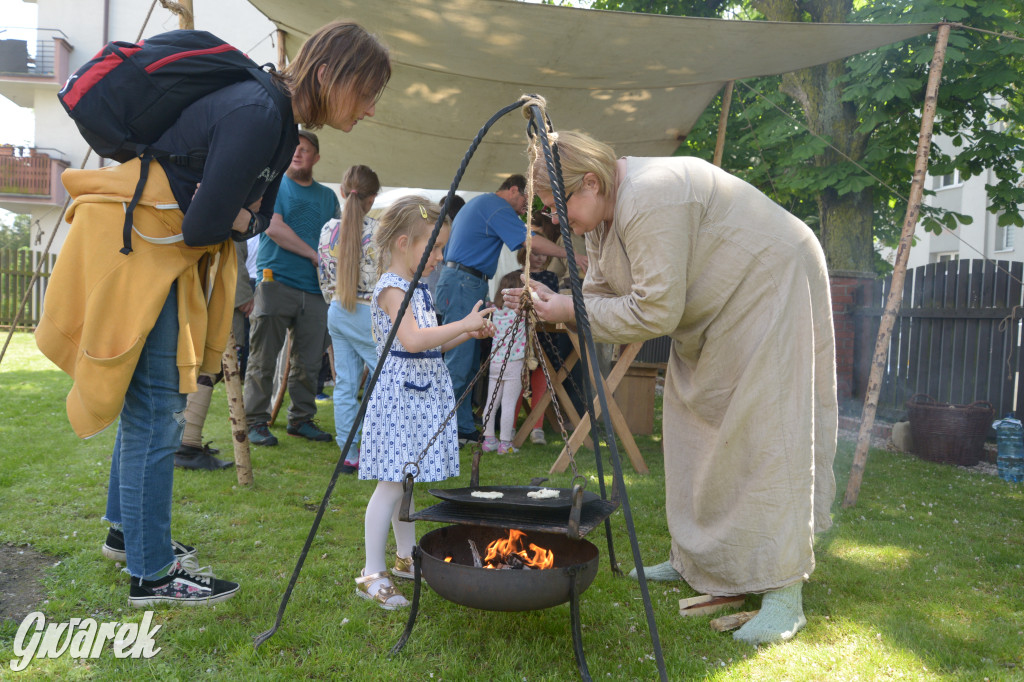 Tarnowskie Góry. Wioska wikingów w bibliotece