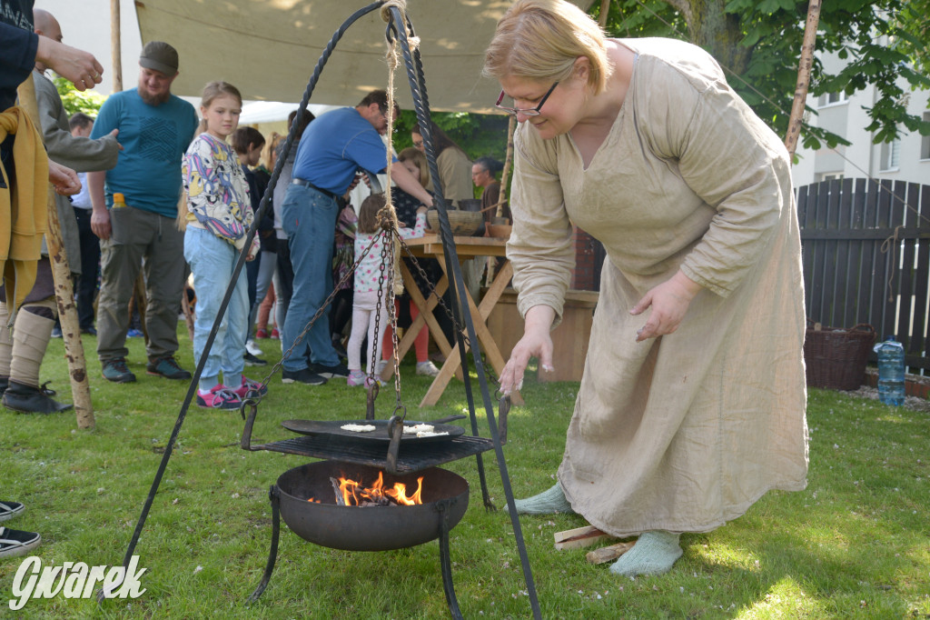 Tarnowskie Góry. Wioska wikingów w bibliotece